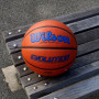 Мяч баскетбольный игровой Wilson EVOLUTION 295 GAME BALL (Оригинал с гарантией)