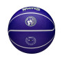 Мяч баскетбольный Wilson NBA TEAM CITY COLLECTOR MIN TIMBE