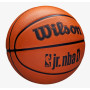 Мяч баскетбольный WILSON JR NBA DRV Fam Logo WZ3013001XB