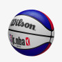 Мяч баскетбольный Wilson JR NBA DRV LIGHT FAM LOGO BSKT WZ3013201XB