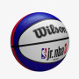 Мяч баскетбольный Wilson JR NBA DRV LIGHT FAM LOGO BSKT WZ3013201XB