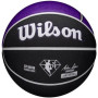 Мяч баскетбольный Wilson NBA TEAM CITY COLLECTOR BSKT WAS WIZAR