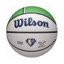 Мяч баскетбольный Wilson NBA TEAM CITY COLLECTOR BSKT WAS WIZAR