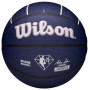 Мяч баскетбольный Wilson NBA TEAM CITY COLLECTOR BSKT WAS WIZAR