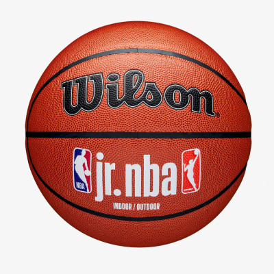 Мяч баскетбольный Wilson Junior NBA FAM Logo Indoor Outdoor 5