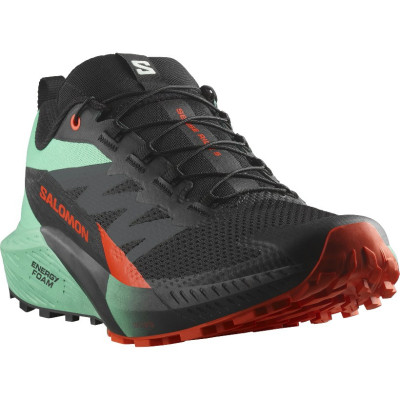 Мужские треккинговые беговые кроссовки SALOMON SENSE RIDE 5 s476982 