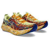 Мужские беговые кроссовки ASICS NOOSA TRI 16 1011B872-751