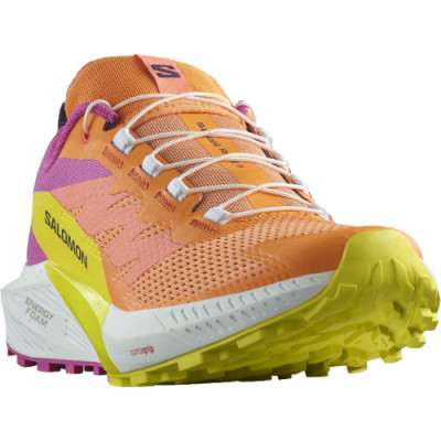 Женские беговые кроссовки SALOMON SENSE RIDE 5 s474590