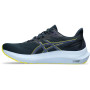 Мужские беговые кроссовки ASICS GT-2000 12 1011B691-403