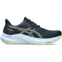 Мужские беговые кроссовки ASICS GT-2000 12 1011B691-403