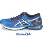 Мужские кроссовки для бега ASICS GEL KINSEI 6 T644N-4200