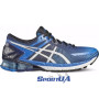 Мужские кроссовки для бега ASICS GEL KINSEI 6 T644N-4200