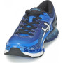 Мужские кроссовки для бега ASICS GEL KINSEI 6 T644N-4200