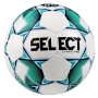 Мяч футбольный SELECT Campo Pro IMS