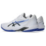 Мужские теннисные кроссовки ASICS SOLUTION SWIFT FF 2 CLAY 1041A467-103