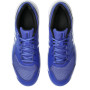 Мужские теннисные кроссовки ASICS GEL-DEDICATE 8 CLAY 1041A448-402