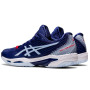 Кроссовки для тенниса ASICS SOLUTION SPEED FF 2 CLAY 1042A134-404