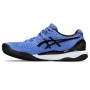 Мужские кроссовки теннисные ASICS GEL-RESOLUTION 9 CLAY 1041A375-401 