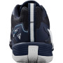 Мужские теннисные кроссовки Wilson RUSH PRO 4.5 CLAY WRS333660 