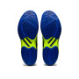 Волейбольные кроссовки ASICS SKY ELITE FF 1051A031-402