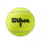 Мячи для тенниса Wilson ROLAND GARROS ALL COURT 3 BALL